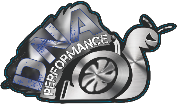 Business Logo | DNA Performance