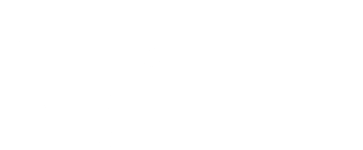 All Faith Hospice Care Logo