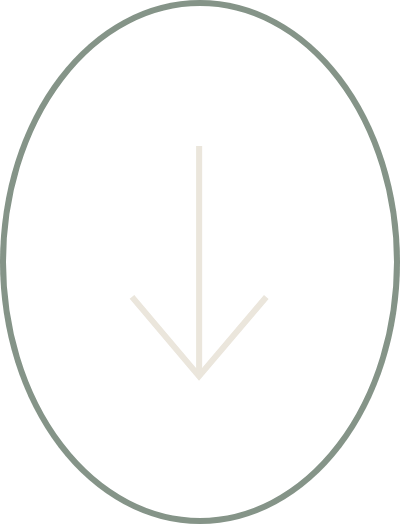 An arrow pointing down in a circle on a white background.