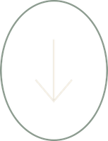 An arrow pointing down in a circle on a white background.