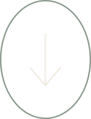An arrow pointing down in a circle on a white background.