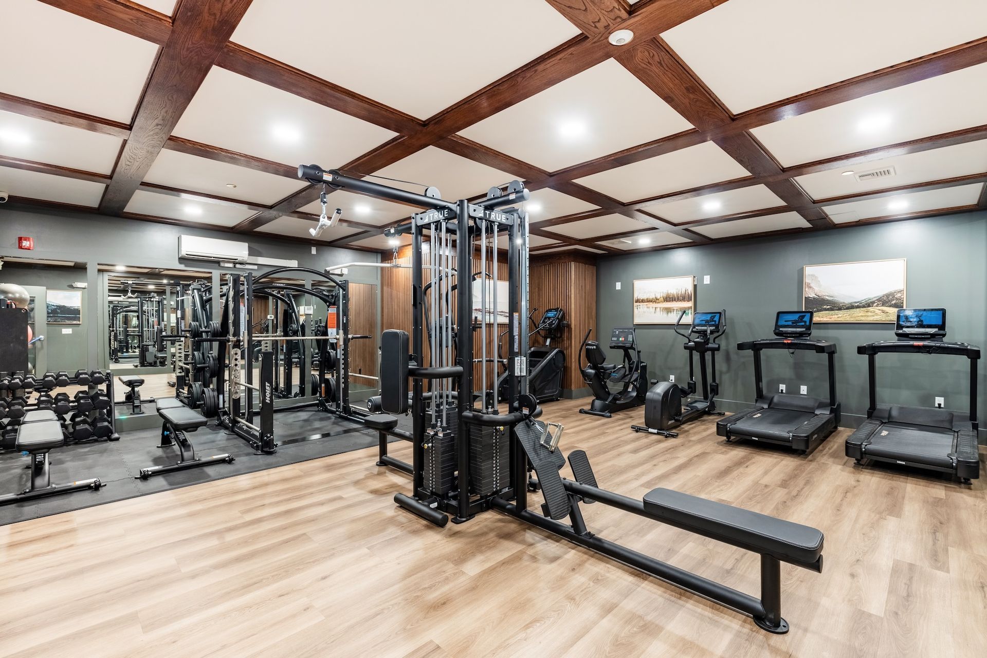 gym with machines and treadmills 