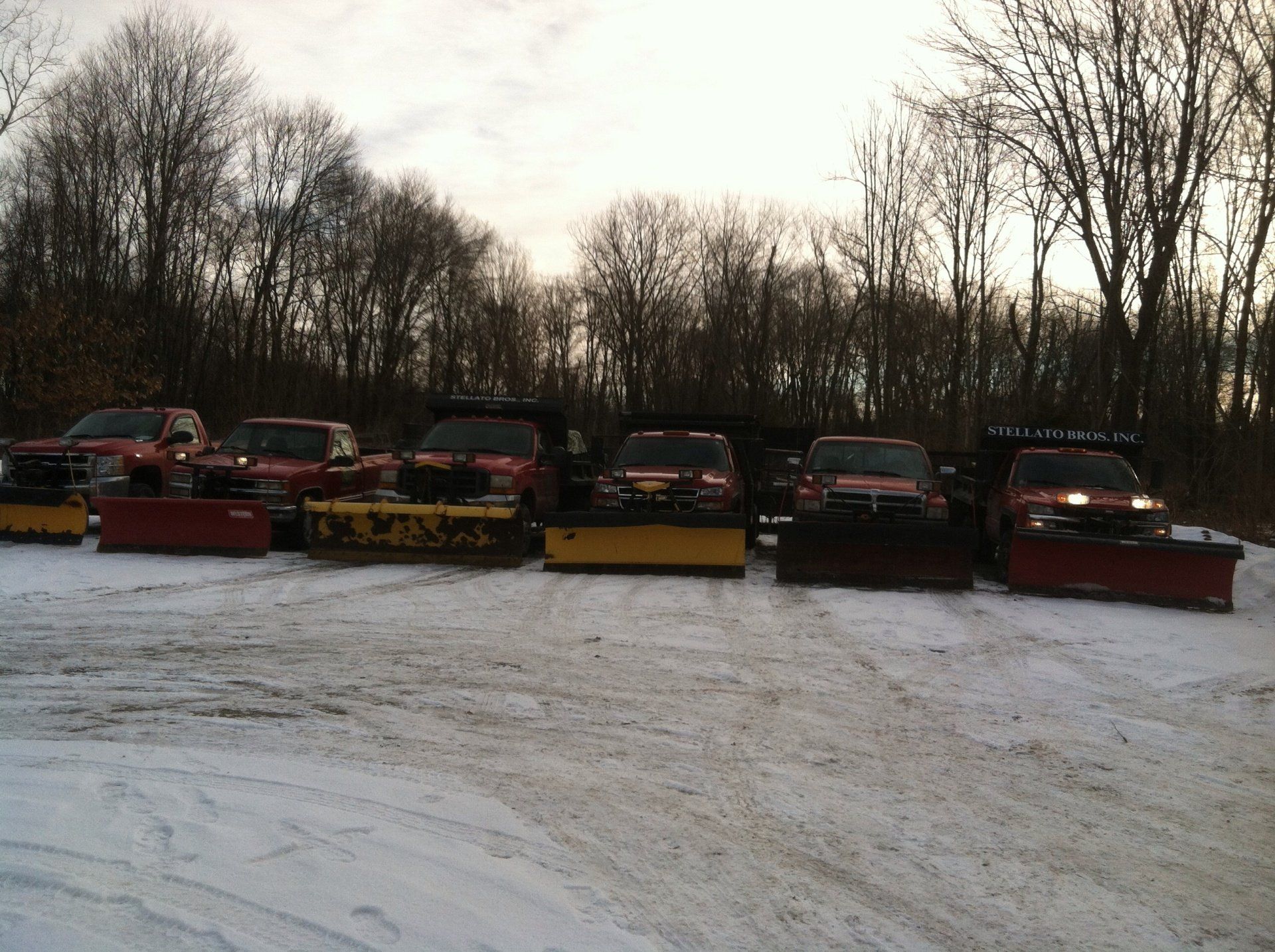 Service vehicles - landscaping services - Stellato Bros. Inc. in Feeding Hills, MA