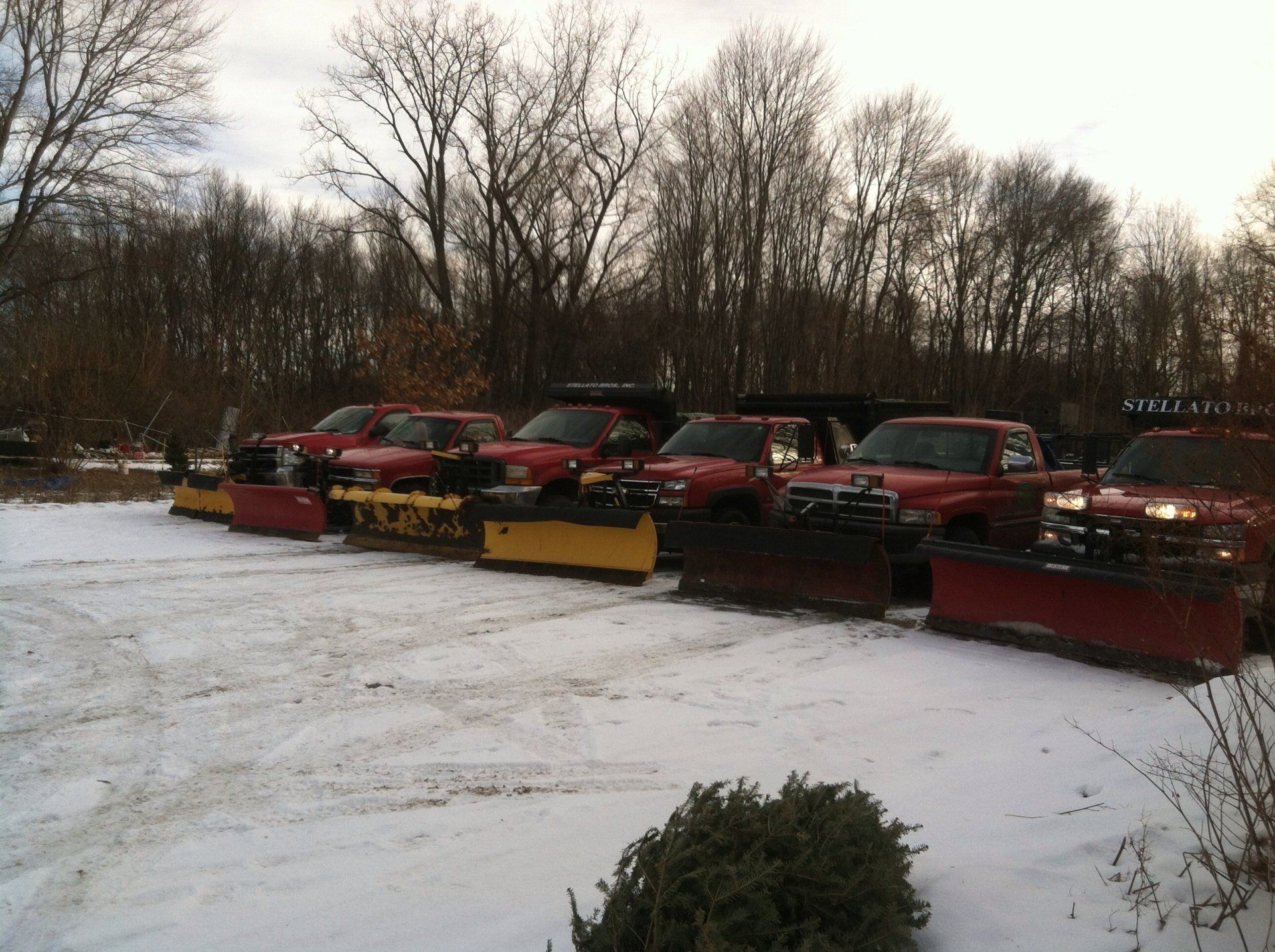 Service vehicles - landscaping services - Stellato Bros. Inc. in Feeding Hills, MA