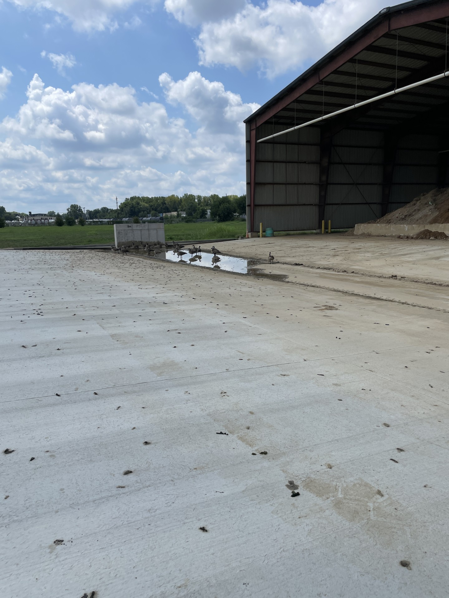 Case Study: Metro Sewer District Drainage Forebay Project
