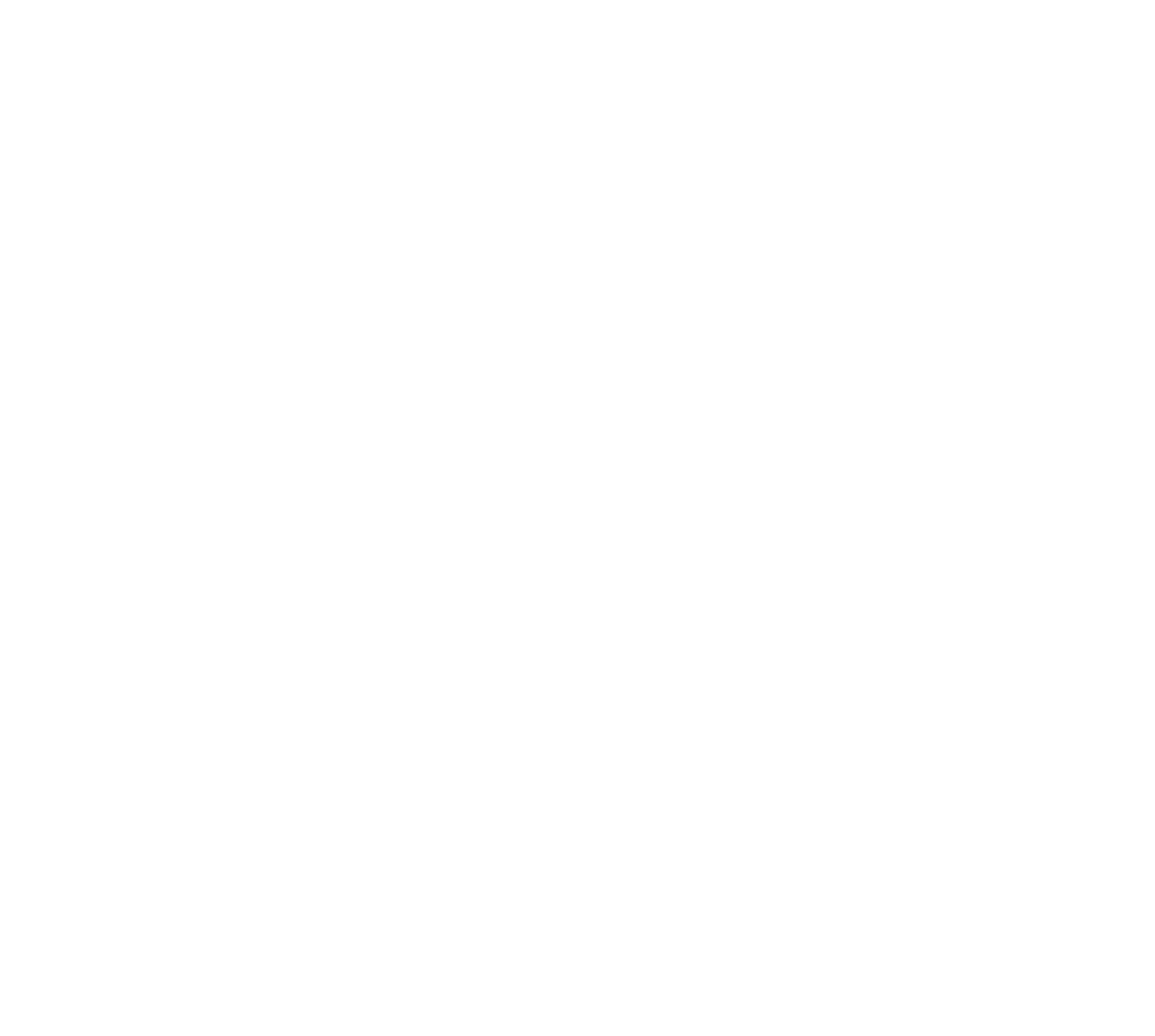 Family Driving School White Logo