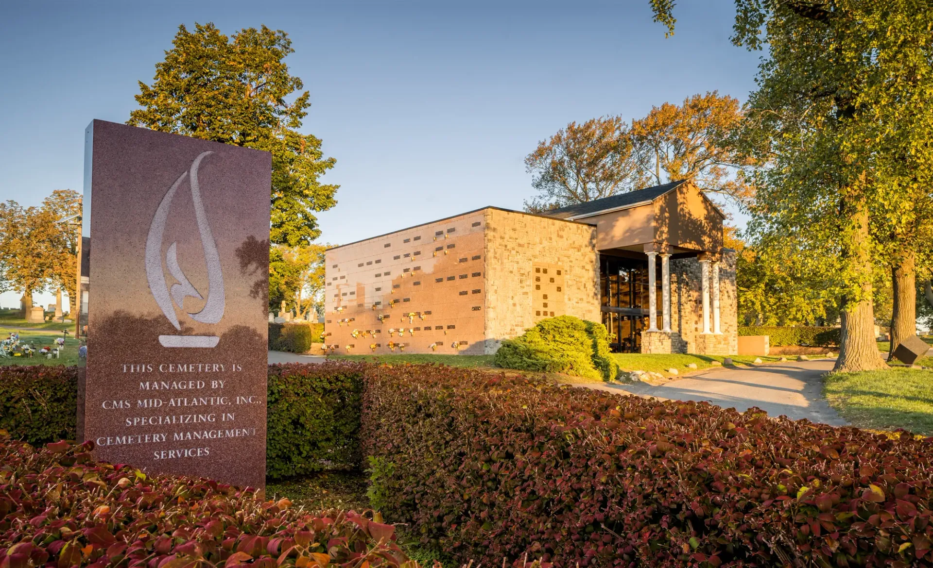 section-image