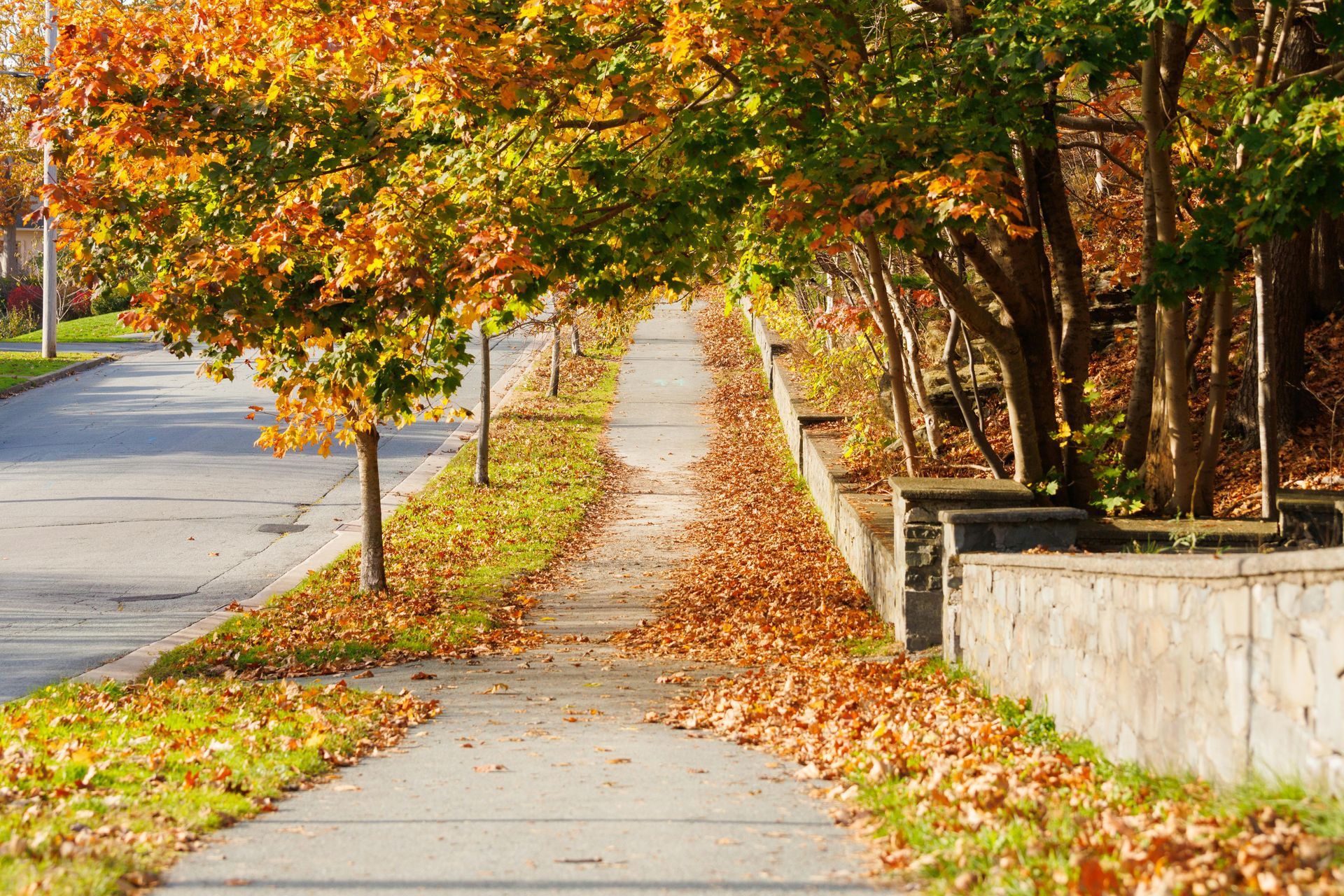 Cooper-Young Memphis street with local shops and restaurants near short-term rental properties