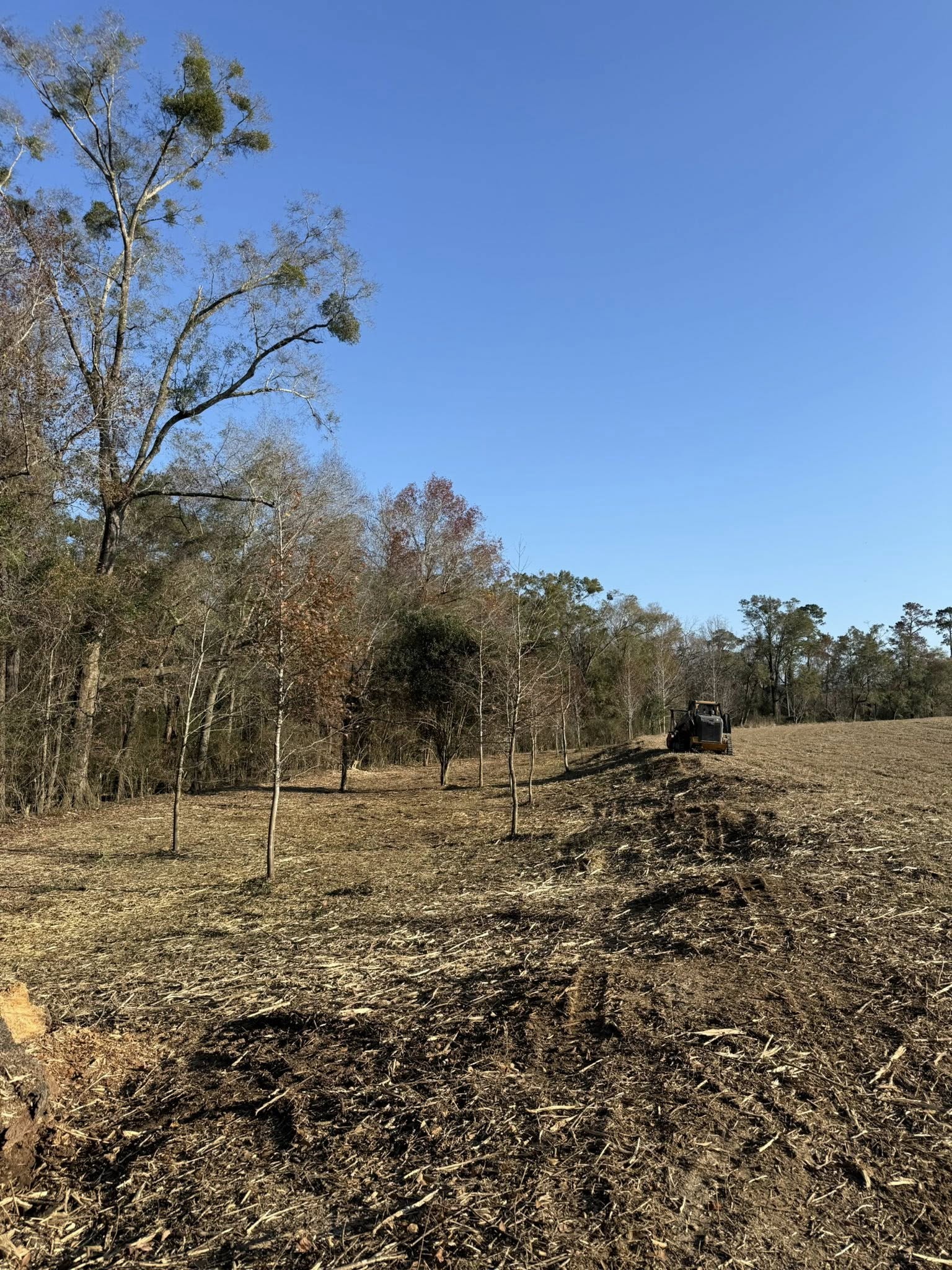 A bulldozer clears land next to a line of trees under a bright blue sky.