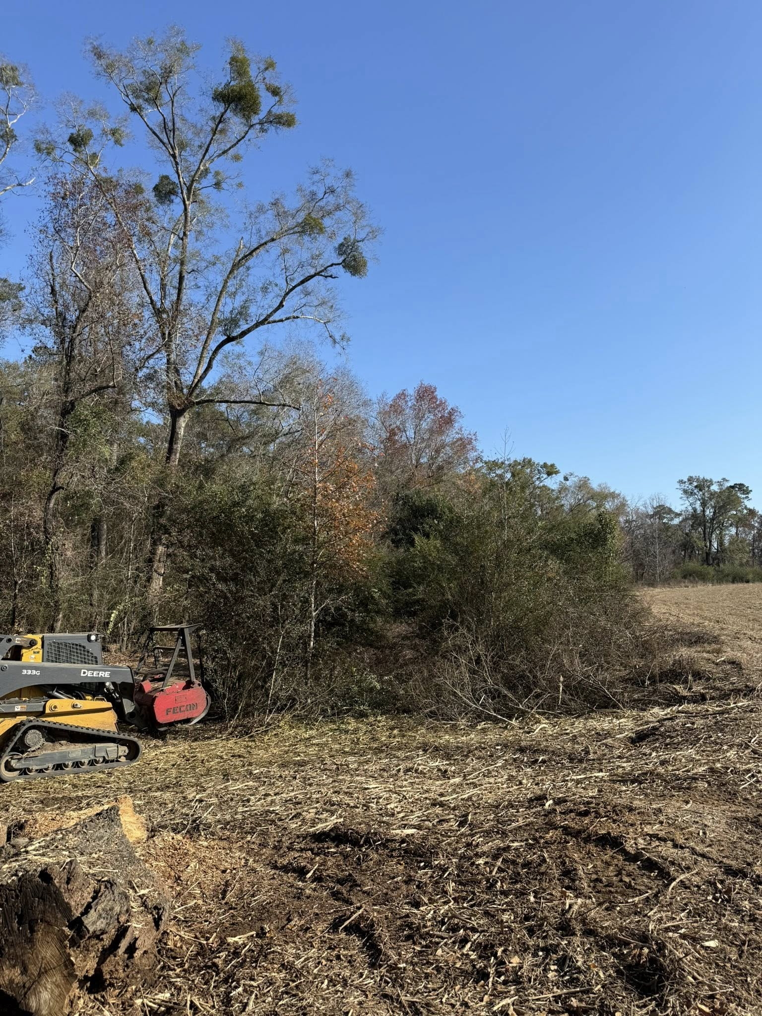 A skid steer with a forestry mulcher attachment clearing dense brush and trees in a sunny, rural landscape.