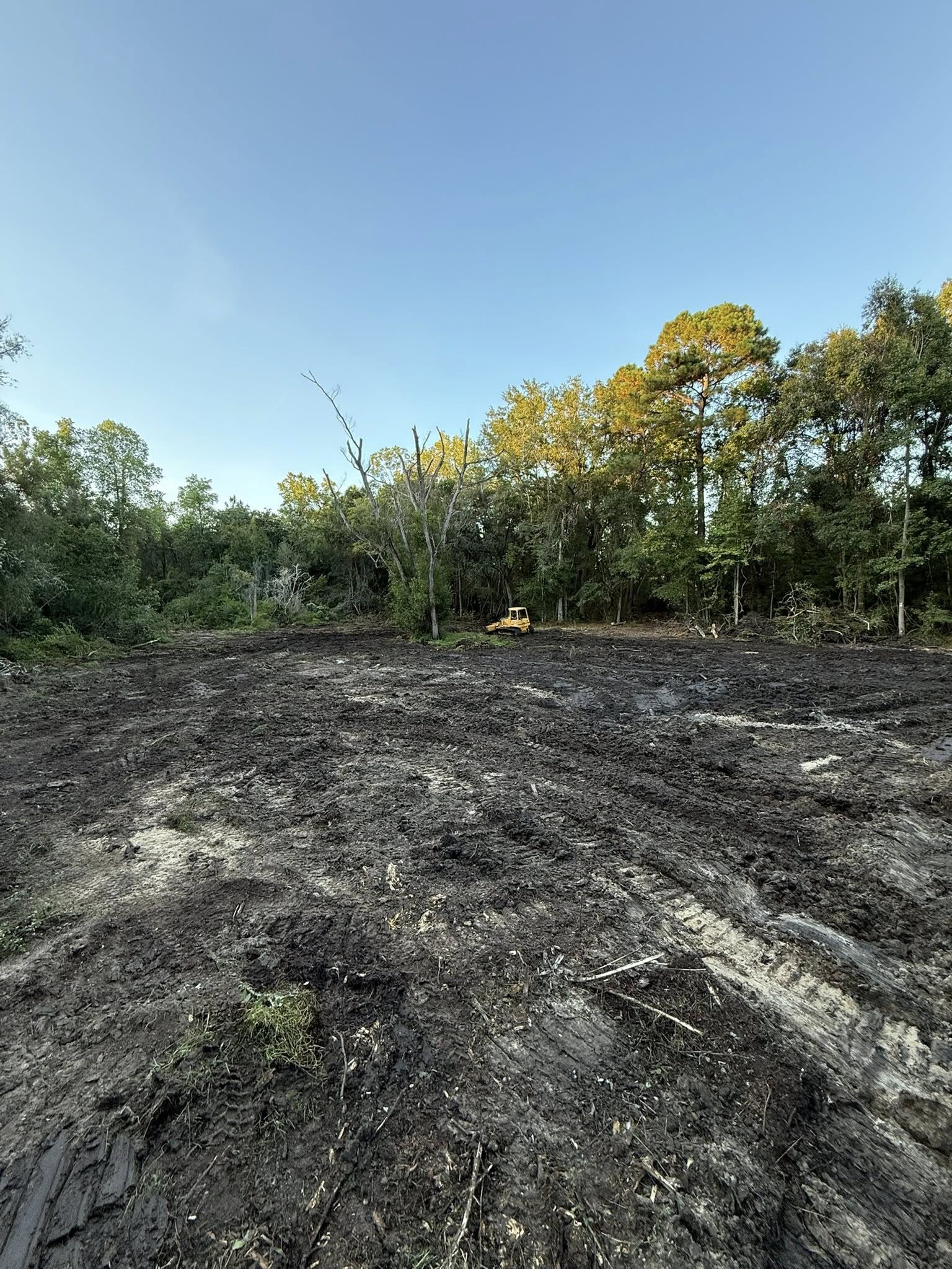 A cleared, scorched patch of earth with dark soil and ash in the foreground, bordering a line of trees under a blue sky.