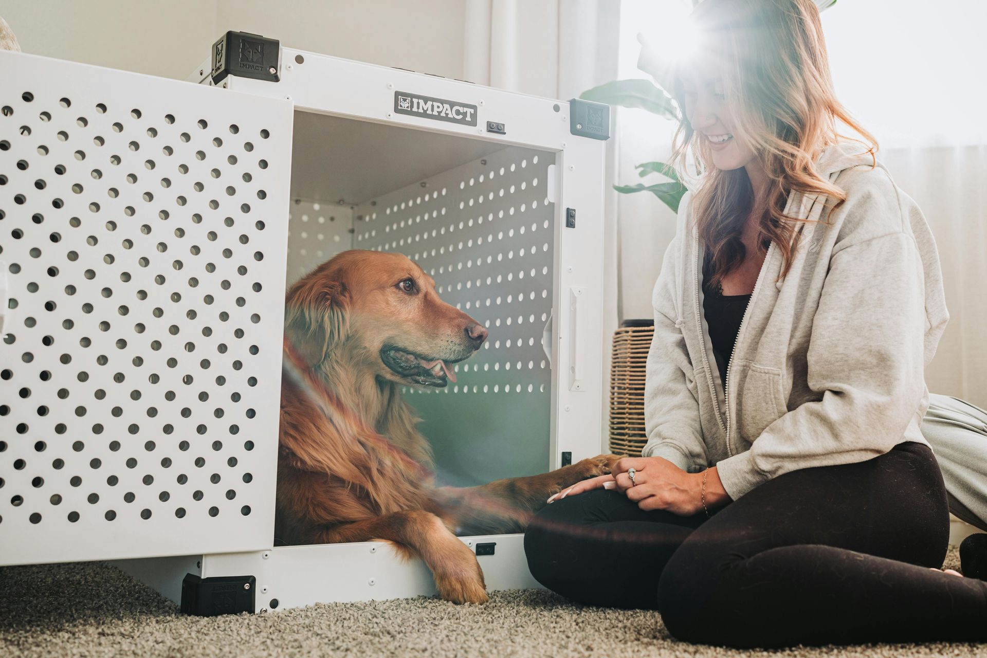 happy dog in his crate