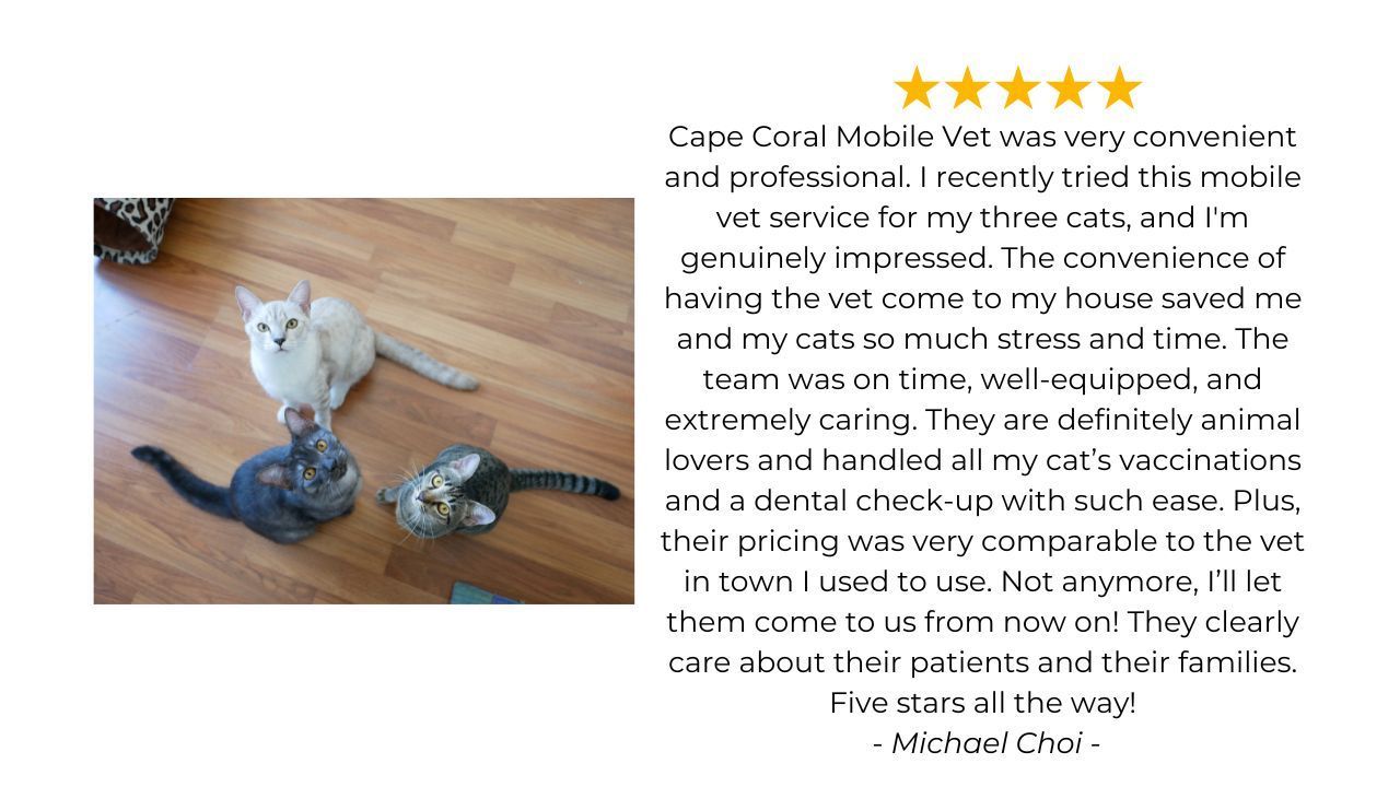 cape coral mobile vet review 3