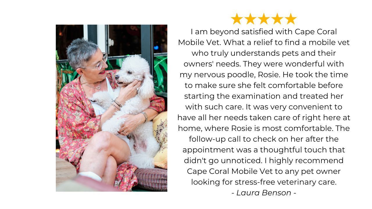 cape coral mobile vet review 2