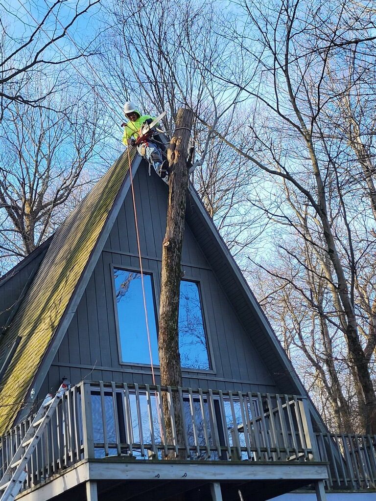 Tree Serice — Somerset, PA — Zambos Tree Service