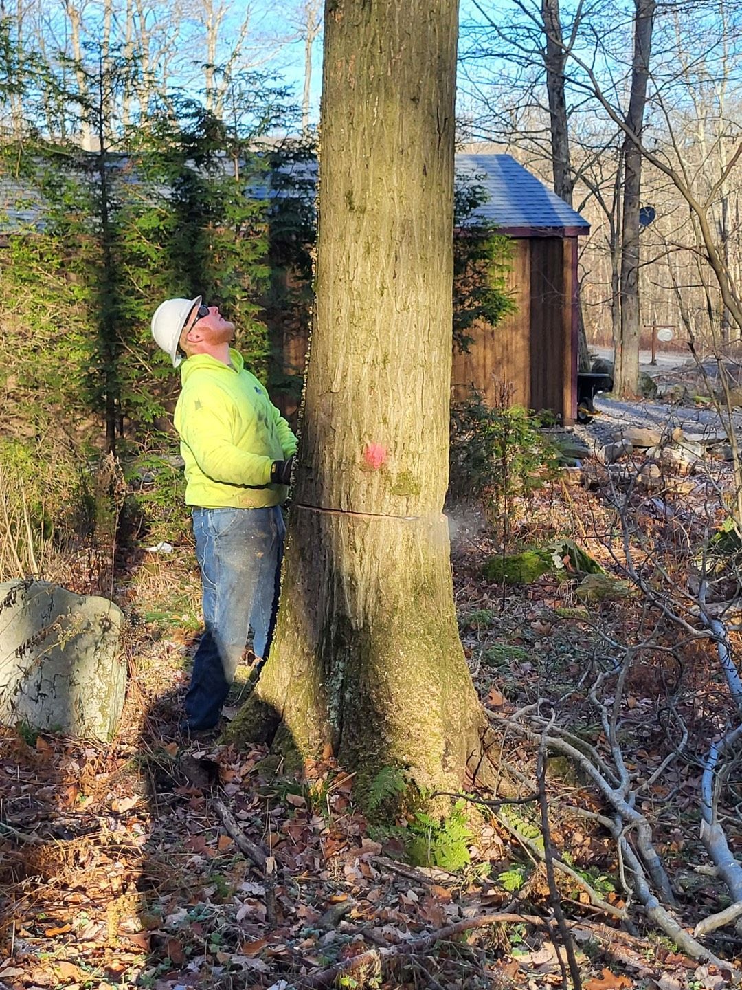 Tree Serice — Somerset, PA — Zambos Tree Service