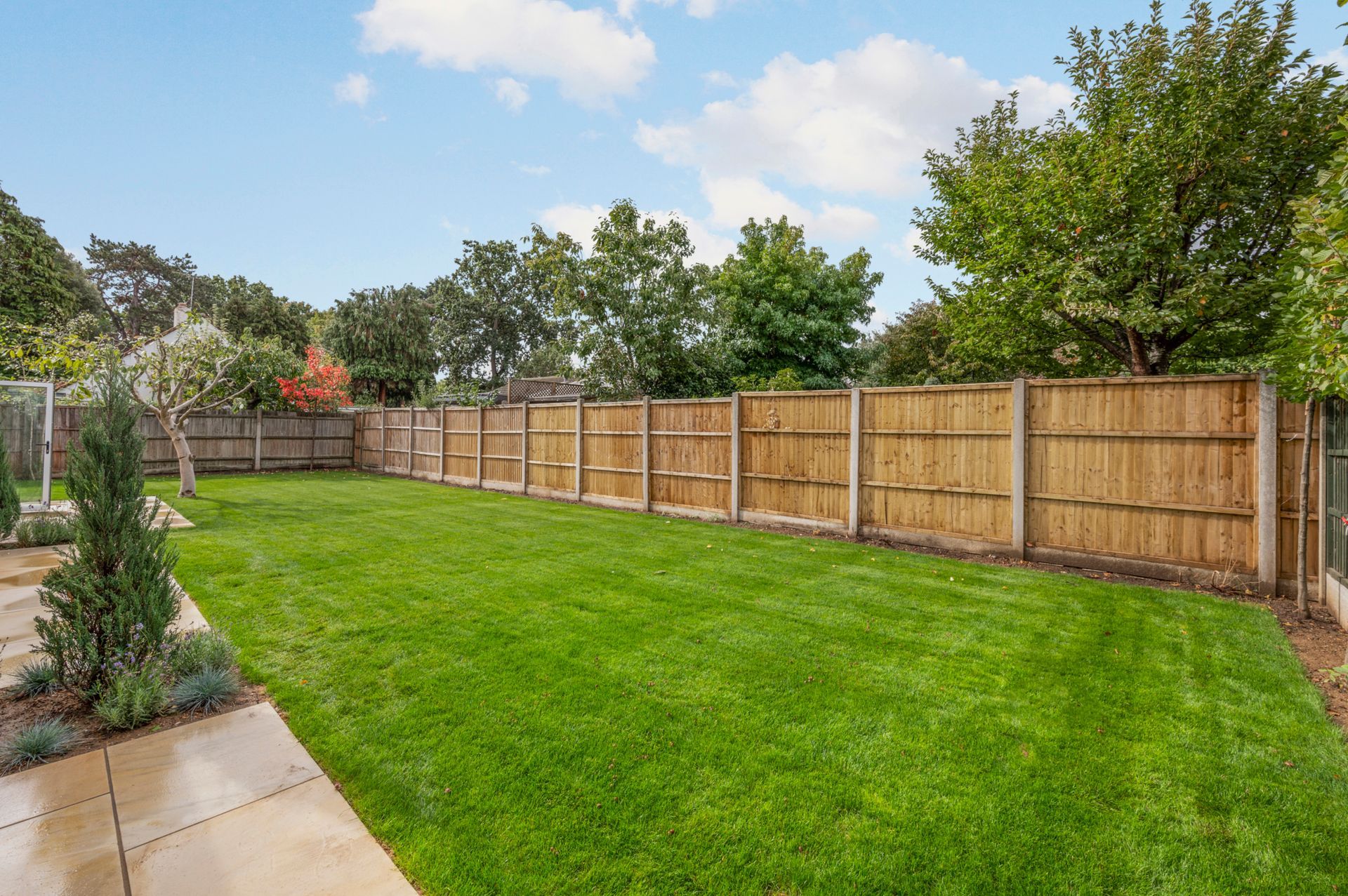 Green lawn in a backyard bordered by a bamboo fence, trees, and a paved patio area, under a blue sky.