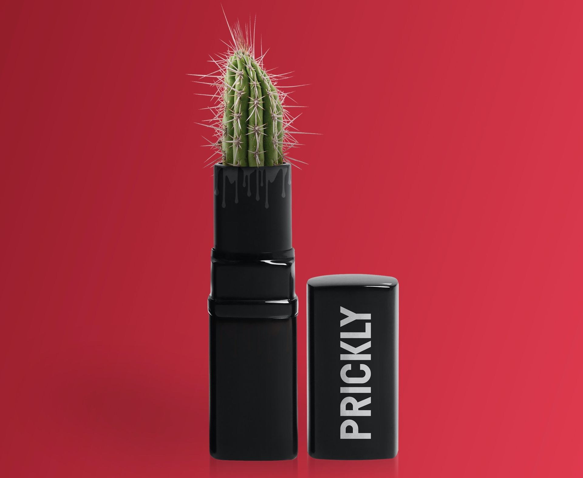 labial editado con photoshop para simular que hay un cactus adentro.