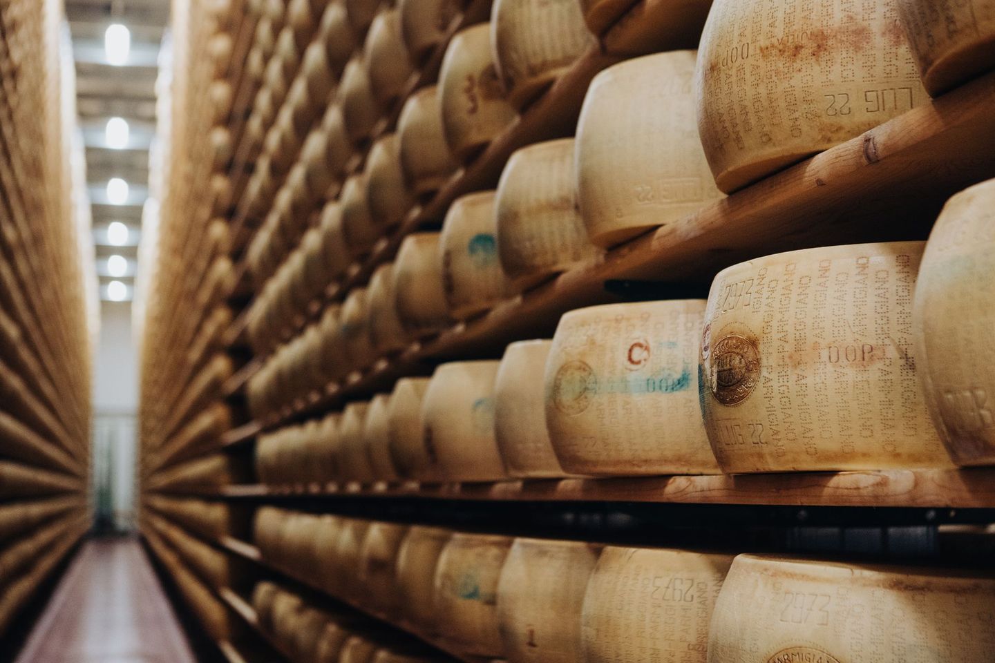Forme di formaggio invecchiate su scaffali di legno.