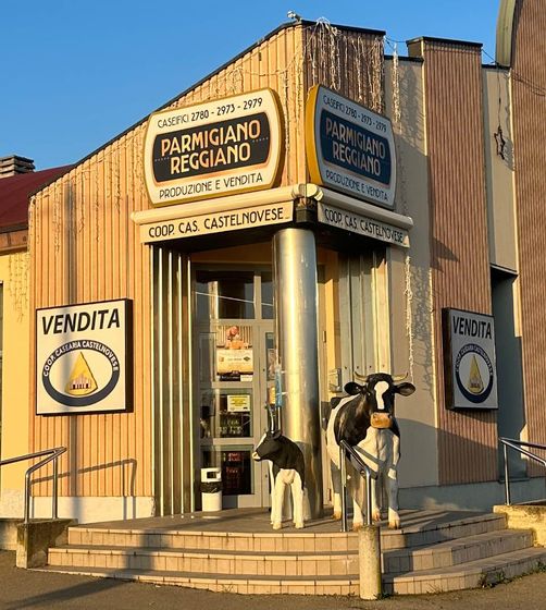 Negozio di Parmigiano Reggiano con statue di mucche all'esterno. Cartelli con la scritta 