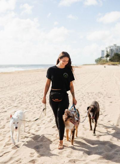 A woman is walking three dogs on the beach.