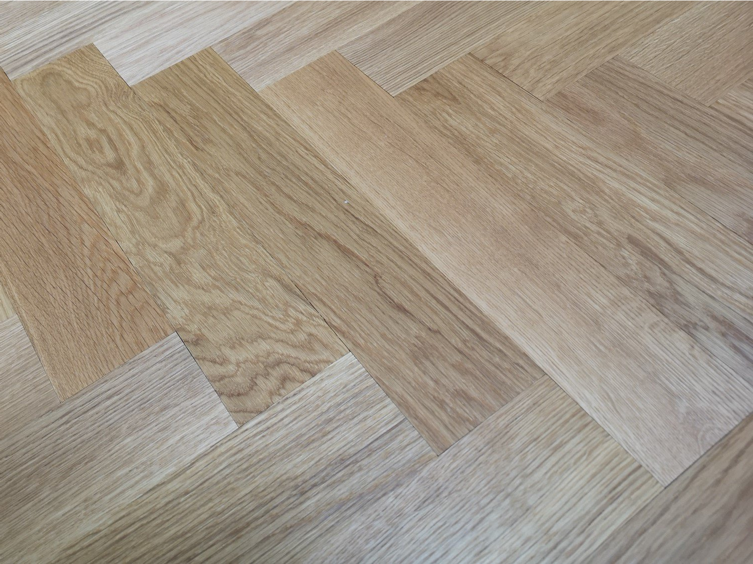 Barnard & Lydford floors 8