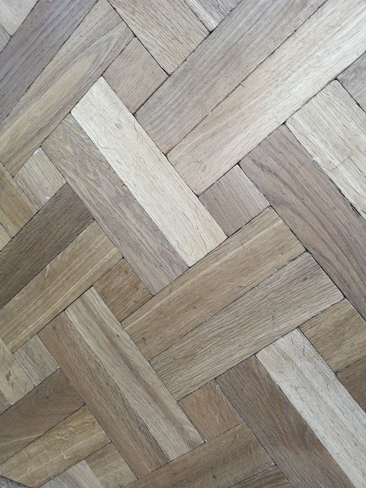 Barnard & Lydford floors 12