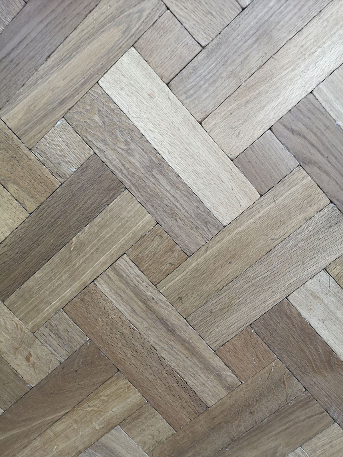 Barnard & Lydford floors 13