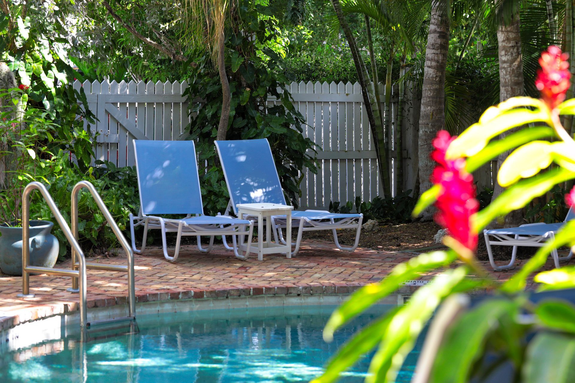 Two blue lounge chairs by a pool with red flowers and a white fence in the background.