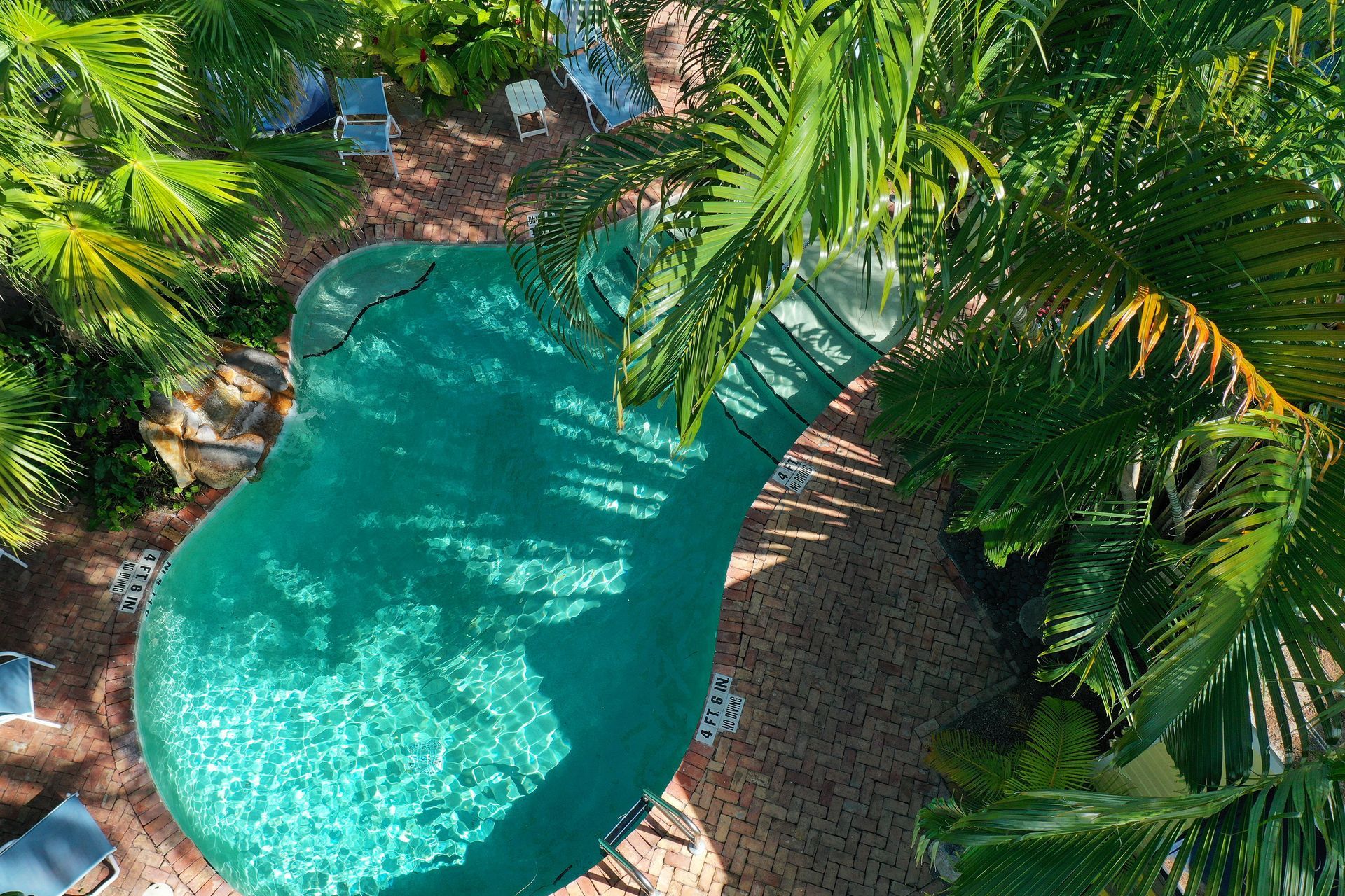 Overhead view of a green, irregularly-shaped swimming pool surrounded by palm trees and brick-colored patio.