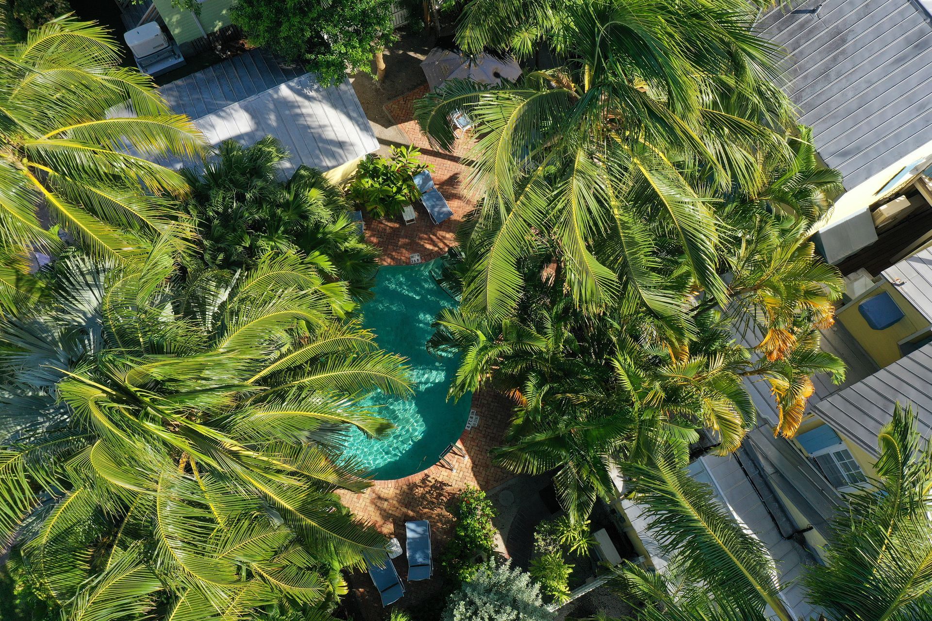 Overhead view of a turquoise pool surrounded by palm trees and buildings.