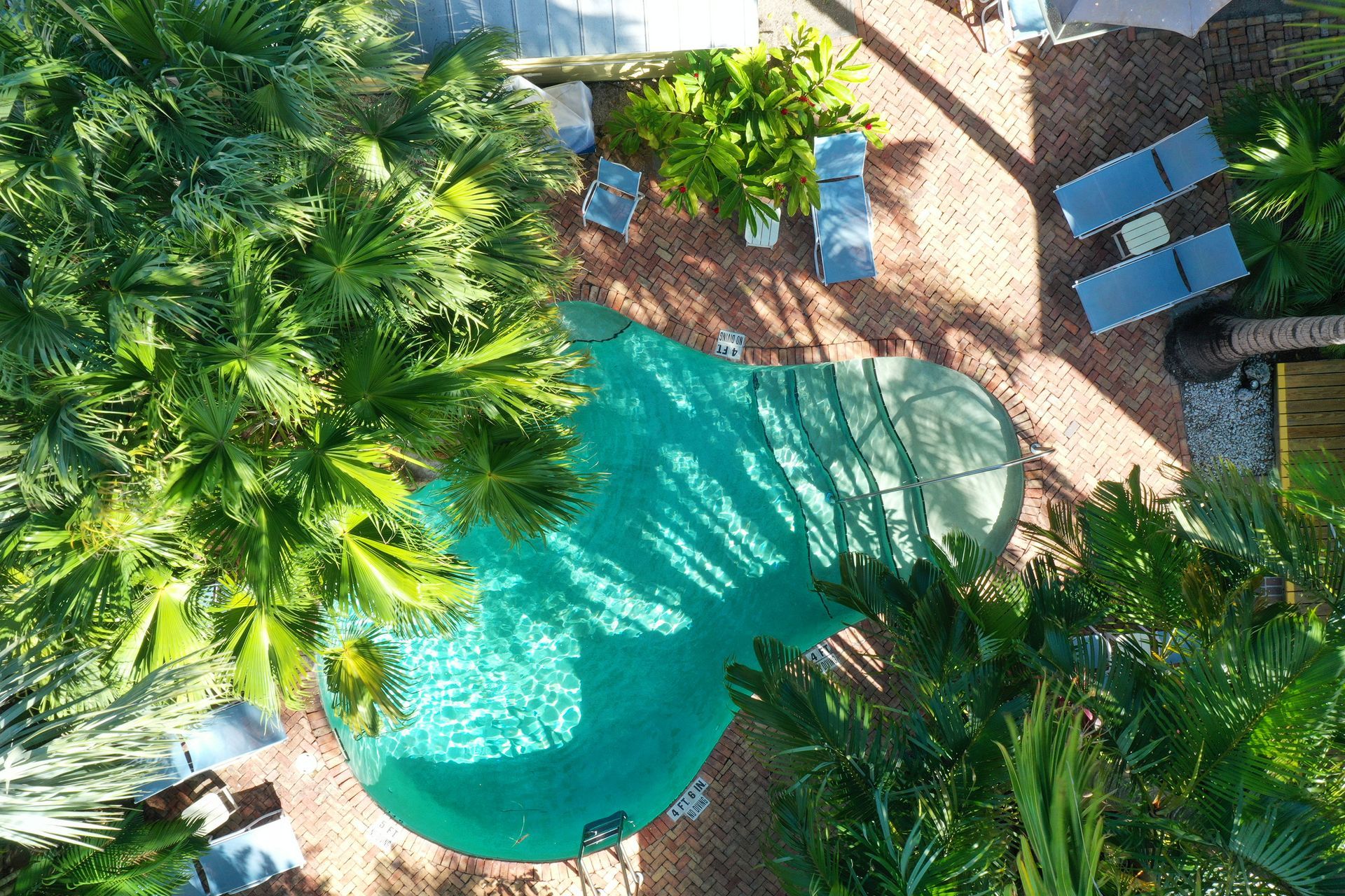 Overhead view of a kidney-shaped pool with surrounding palm trees and lounge chairs on brick.