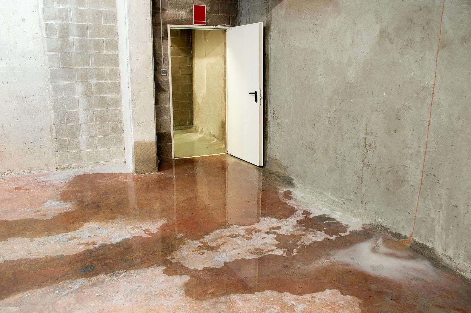 Wet concrete floor in an unfinished room with a white door and a brick wall.