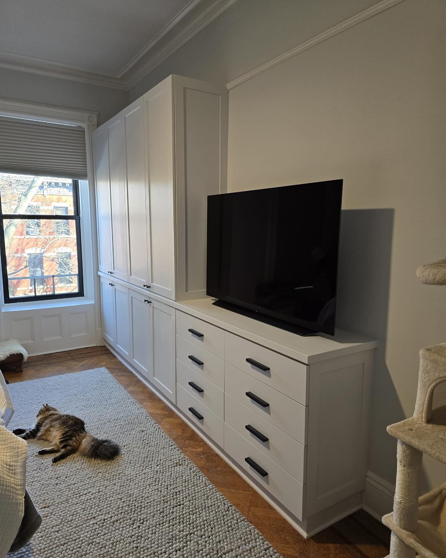 White built-in storage unit with TV in a bedroom; a cat rests on the rug below.