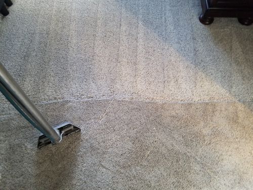 A vacuum cleaner is cleaning a carpet in a room.