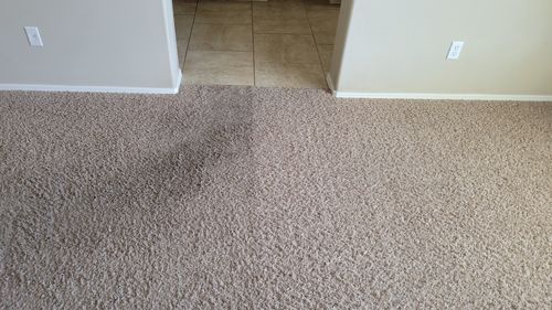 Local carpet cleaners removing dirt from high-traffic carpet area near tile flooring in Mesa, AZ