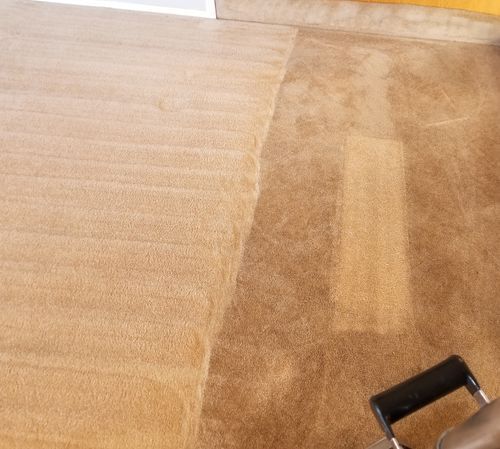 Professional carpet cleaning service showing deep steam cleaning results on residential carpet
