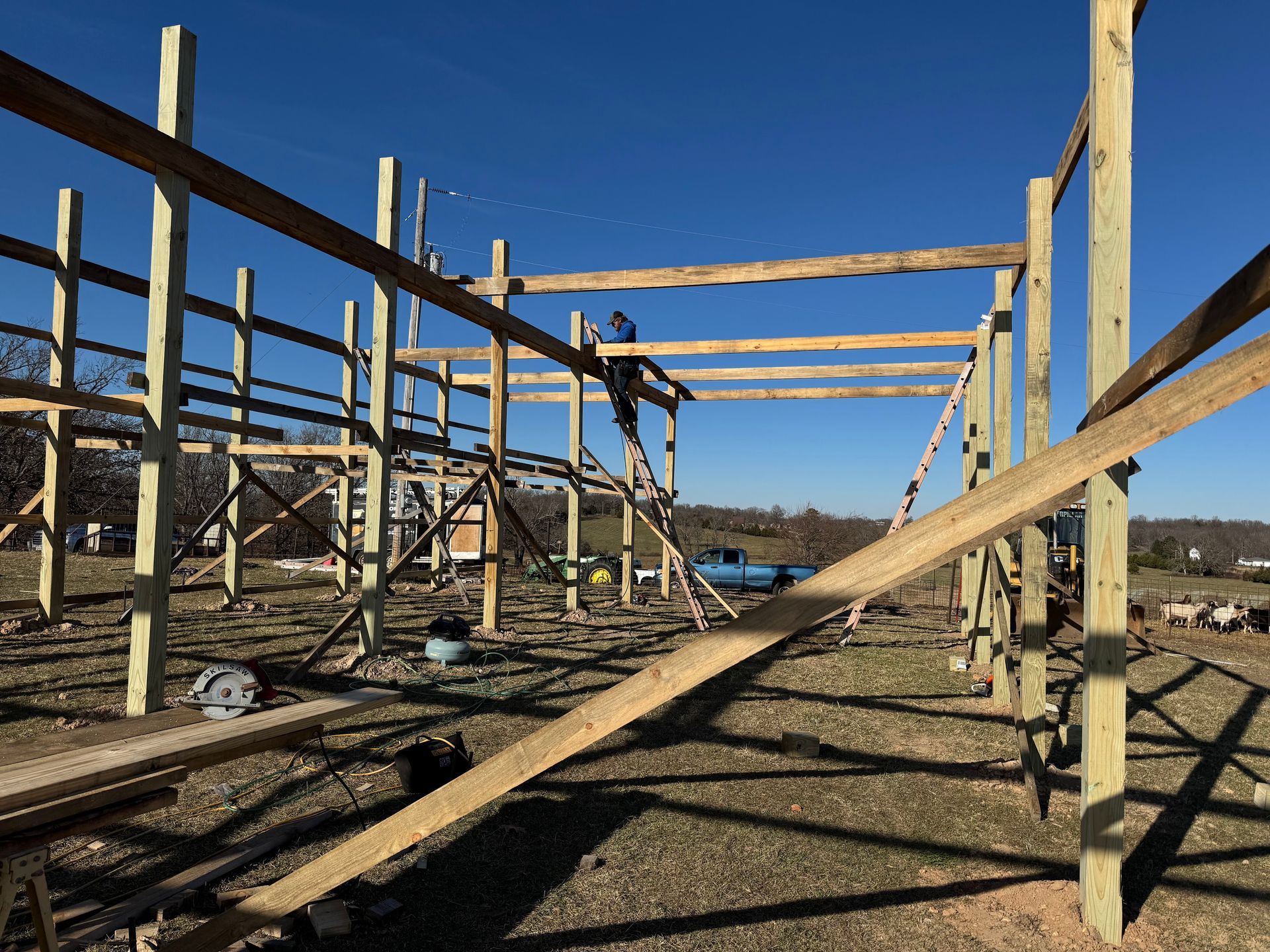 Construction of a wooden barn frame on a sunny day. A worker is on a ladder securing beams.