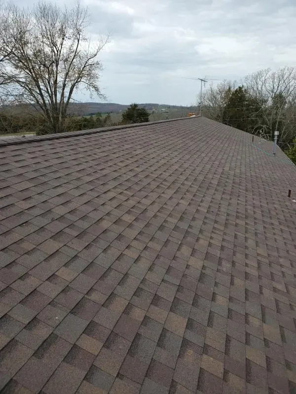Brown shingled roof under an overcast sky, with trees in the background.