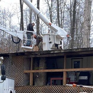 A man is cutting a tree with a chainsaw on the roof of a house.