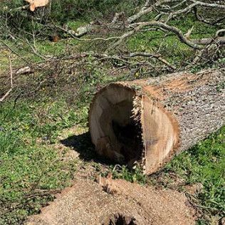 A tree stump with a hole in it is laying on the ground.