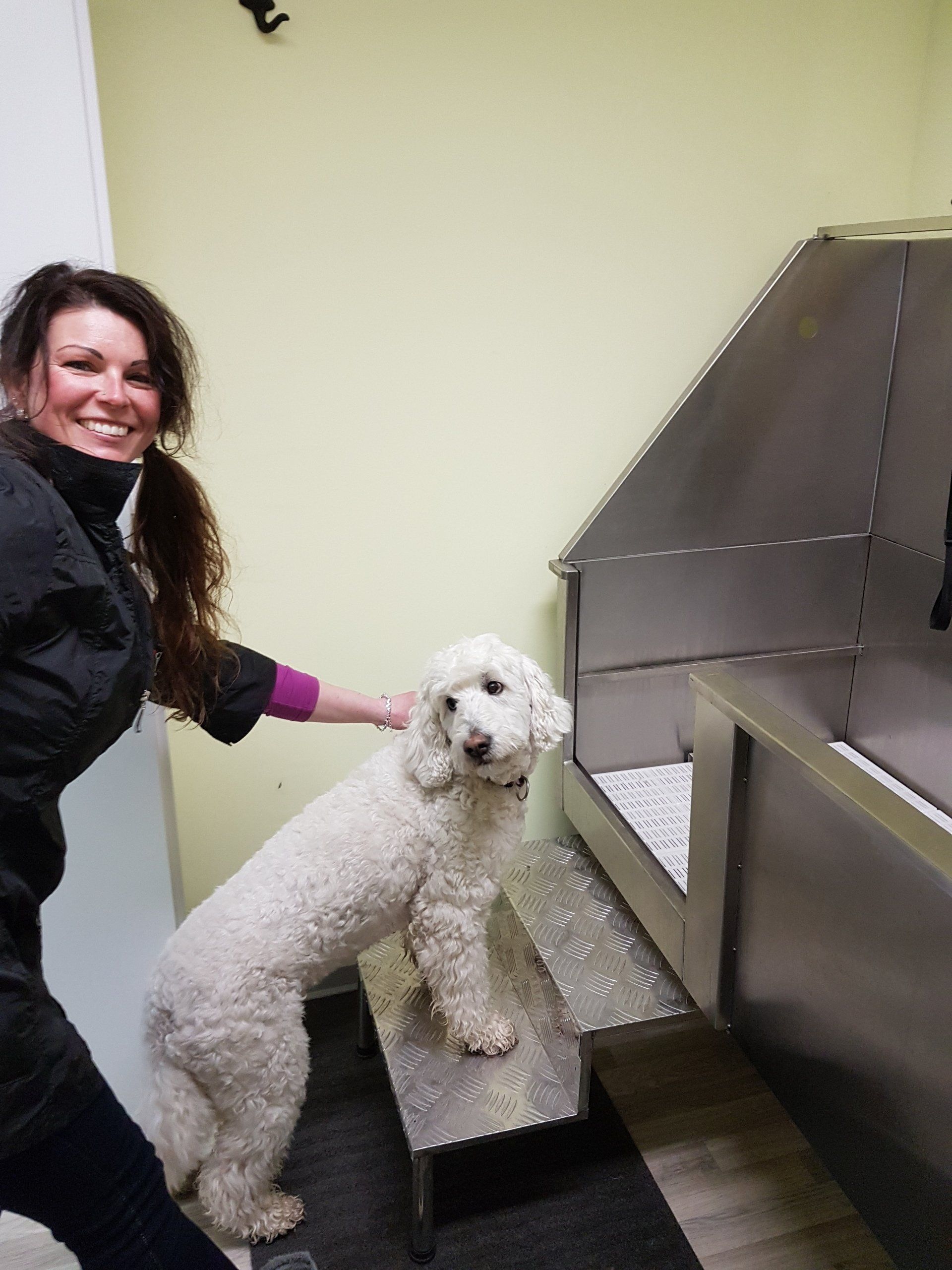 Hundesalon HollyInn Zwönitz Erzgebirge - Hundebadewanne waschen föhnen kämmen entfilzen