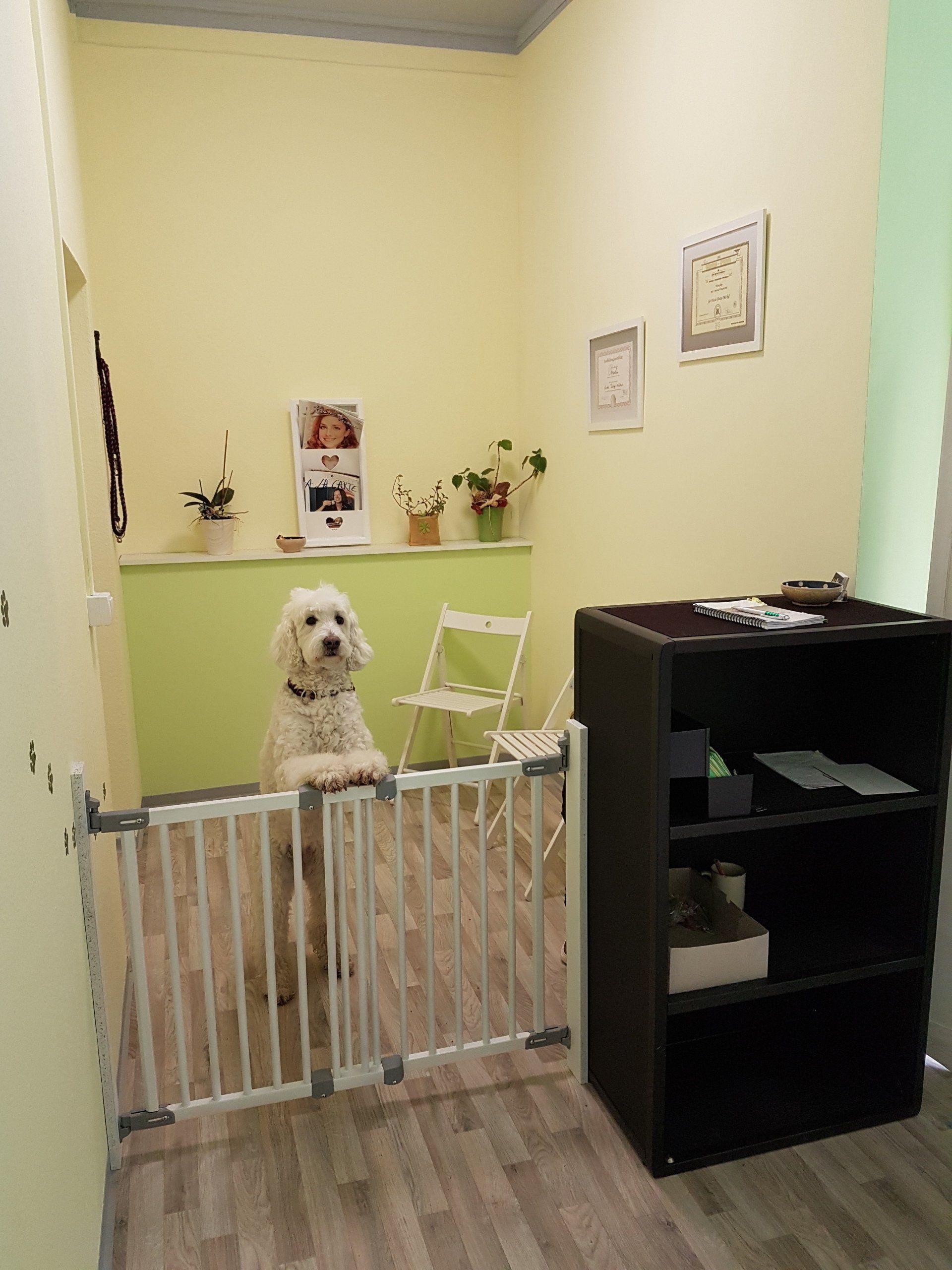 Hundesalon HollyInn Zwönitz Erzgebirge - Herrchen und Frauchen Wellnesszone