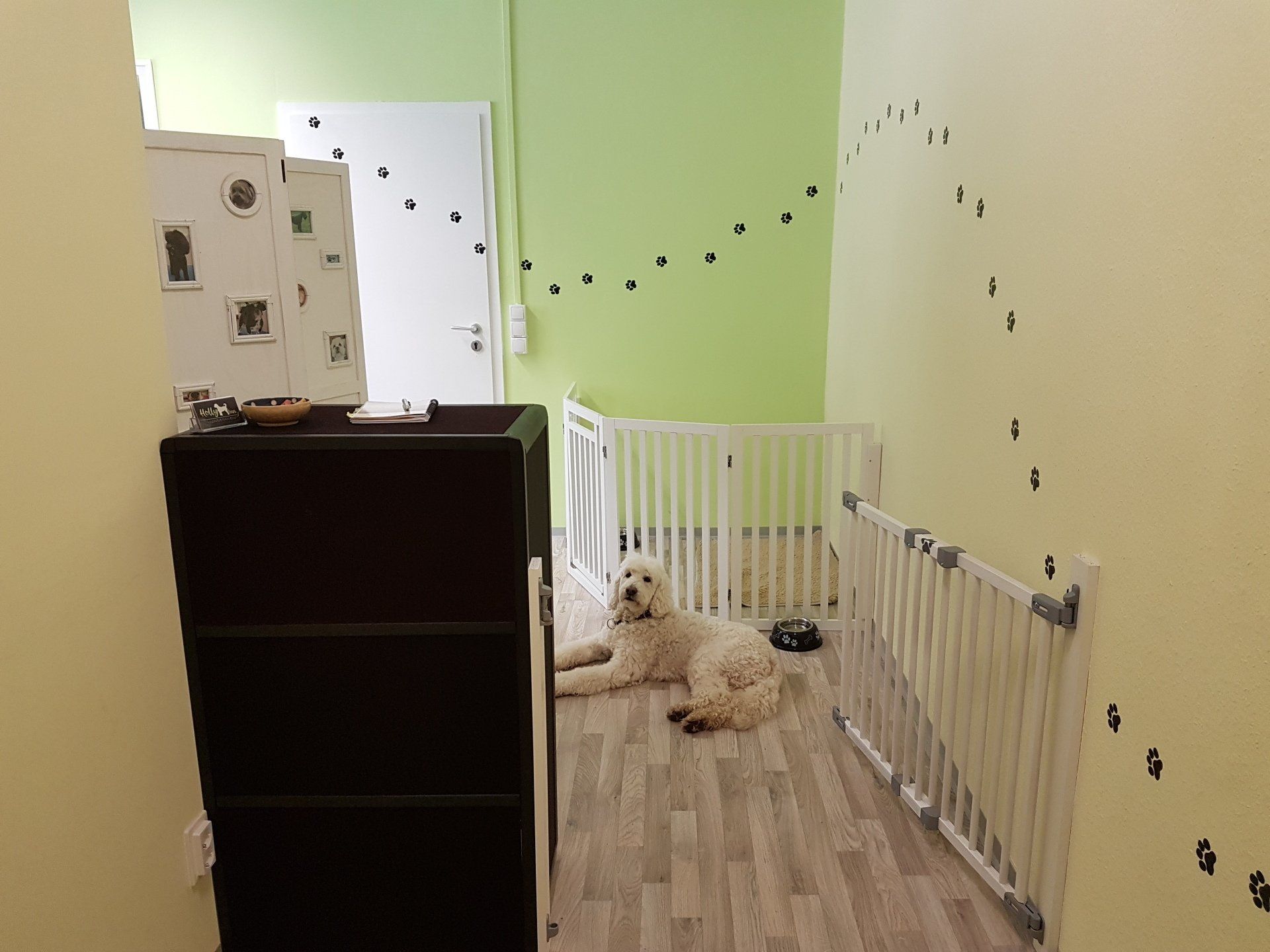 Hundesalon HollyInn Zwönitz Erzgebirge - Hunde Chilloutzone Warten Ruhezone