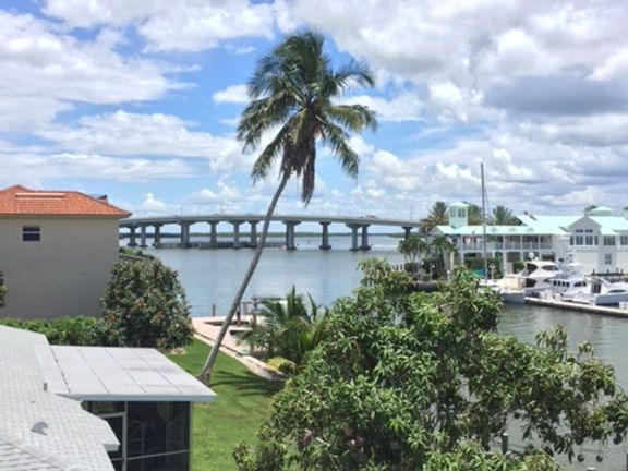 A view of a bridge over a body of water with a palm tree in the foreground