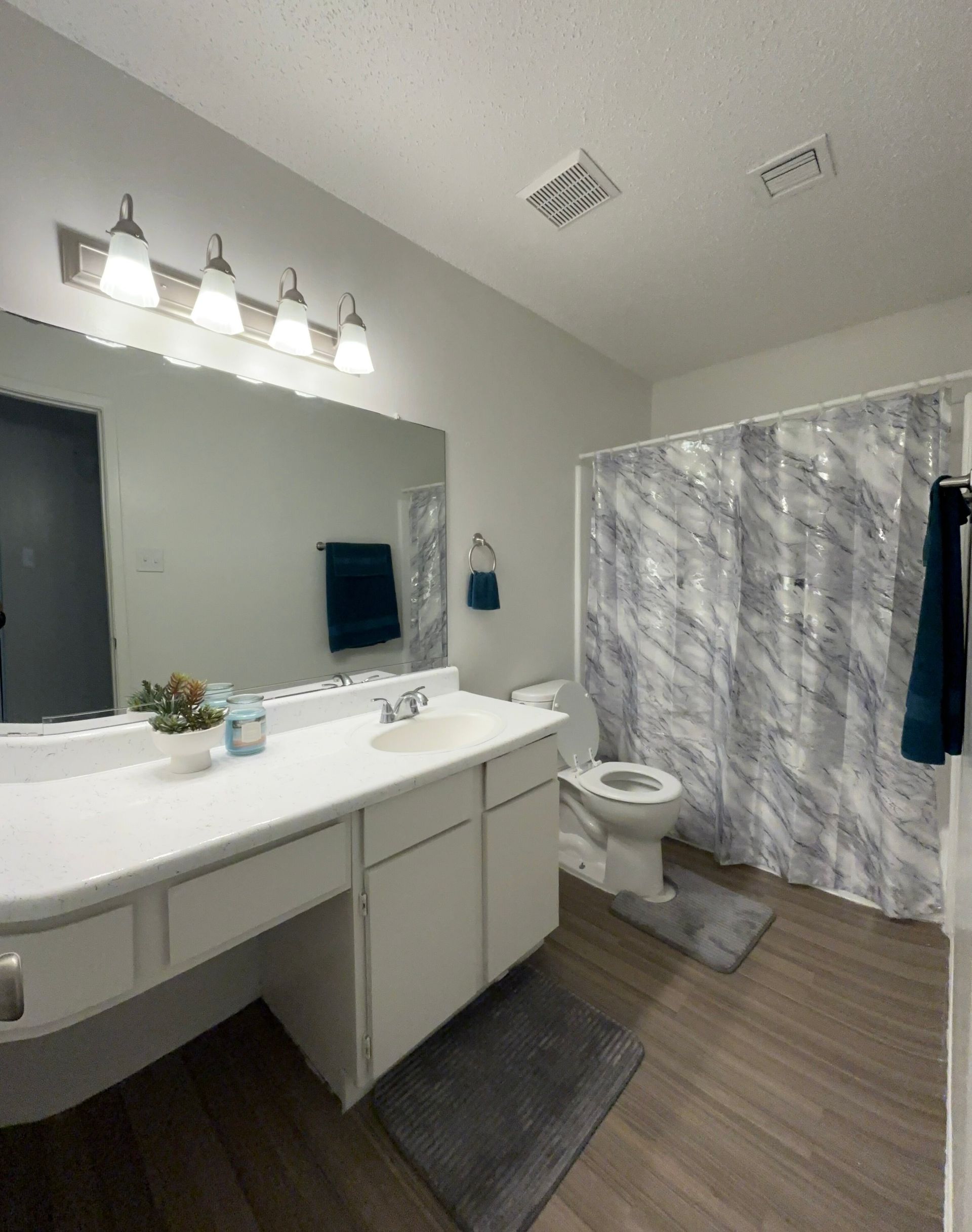 A bathroom with a toilet , sink , mirror and shower curtain.