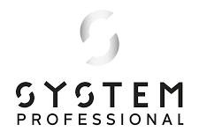 System logo