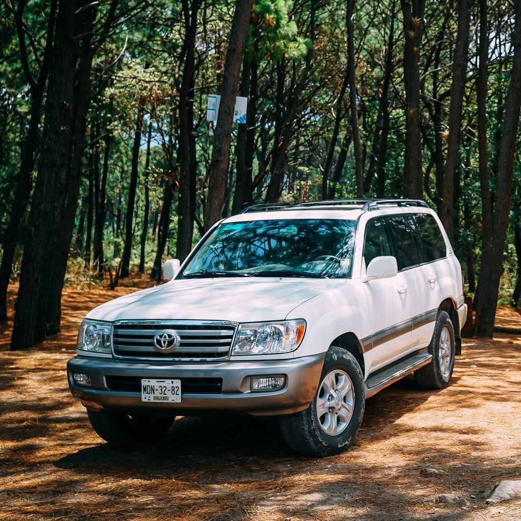a white suv is parked in the middle of a forest .