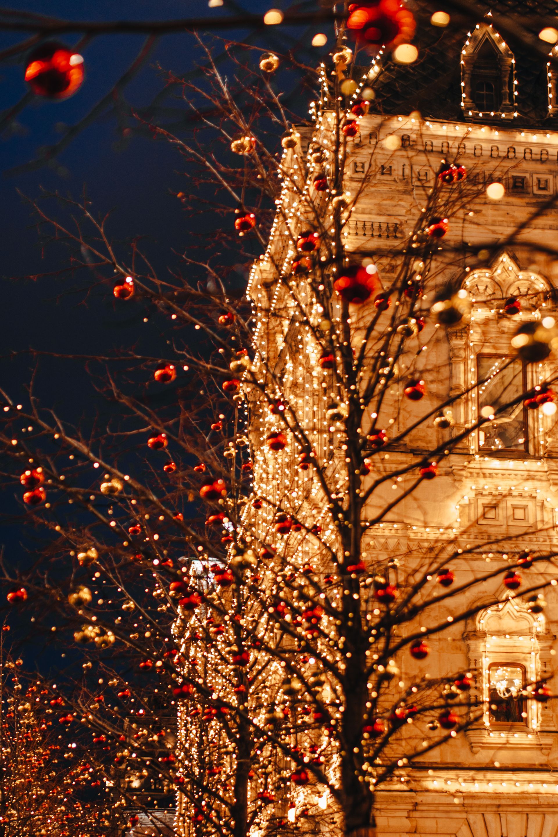 LAUDAN TRAVEL AGENZIA DI VIAGGIO OFFERTE VIAGGI