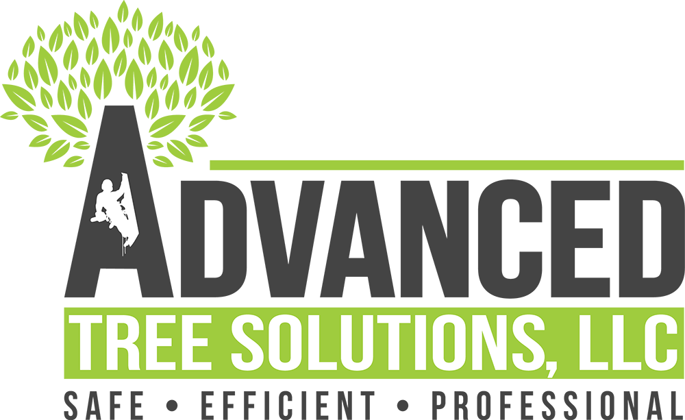Advanced Tree Solutions LLC Columbia and Fulton, MO